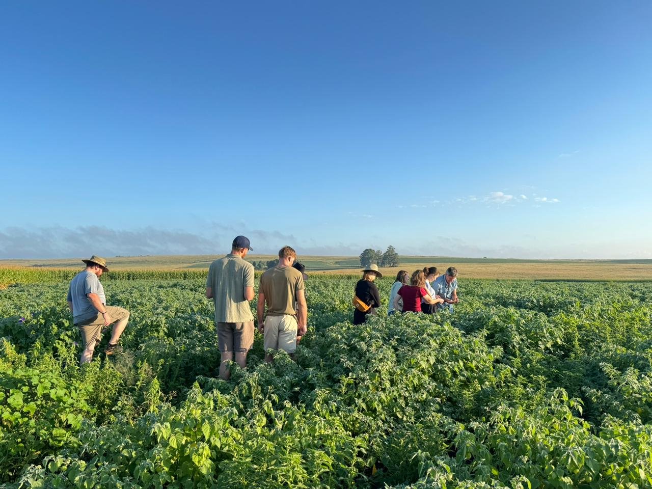The Zuidvaal team out in the fields at Bloukop Farm, Mpumalanga Highveld